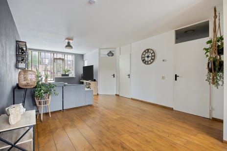 Boterbloem 137 tertiary image