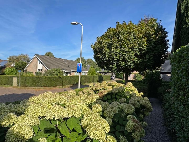 Foto 8 van Brinkkampen 1