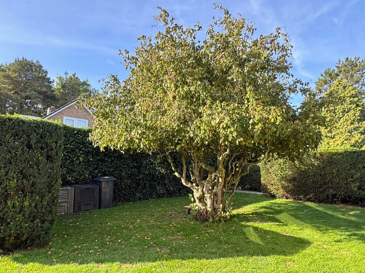 Foto 27 van Brinkkampen 1