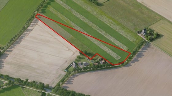 Kendelweg, Siebengewald