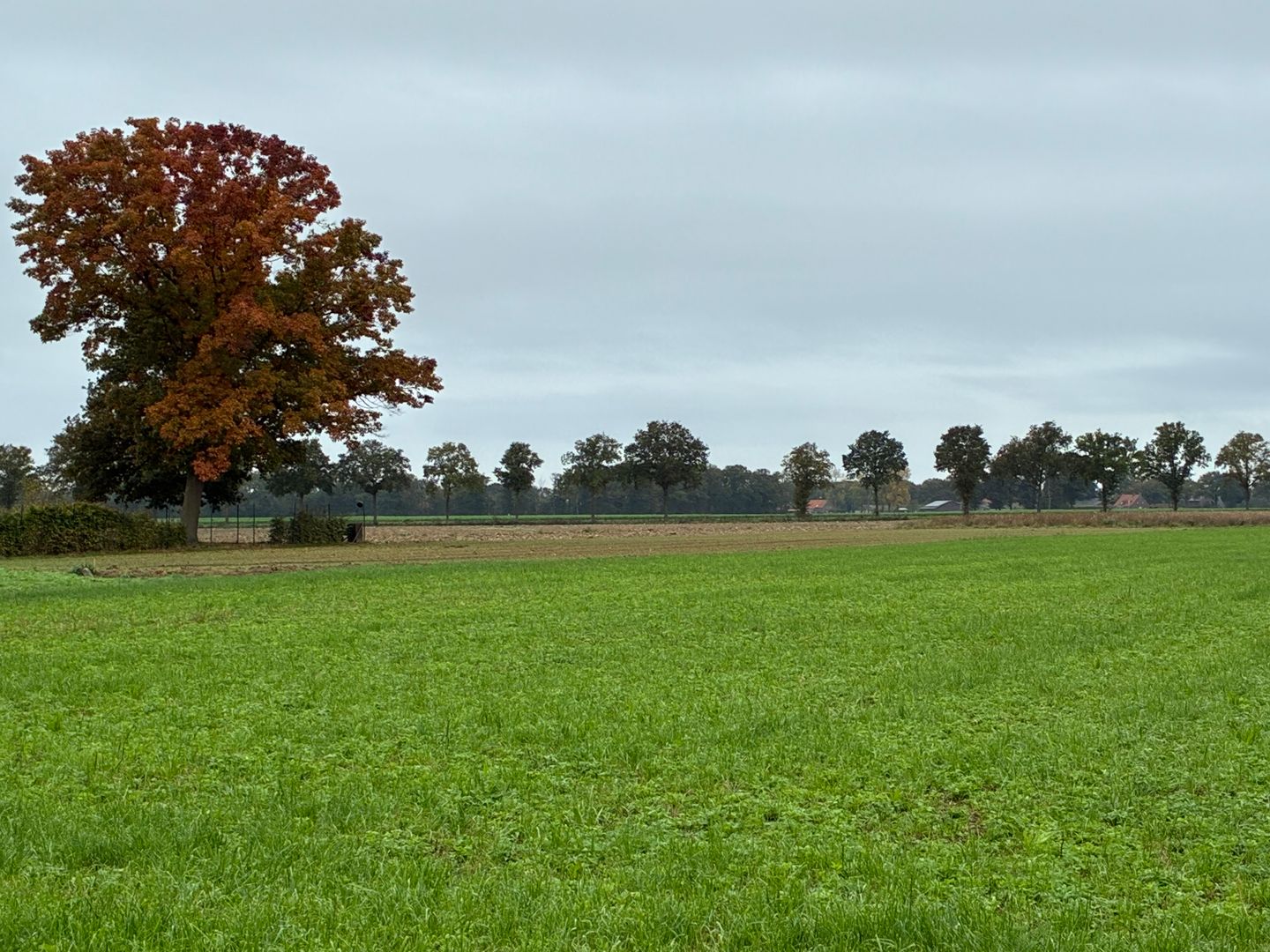 View photo 2 of Kendelweg