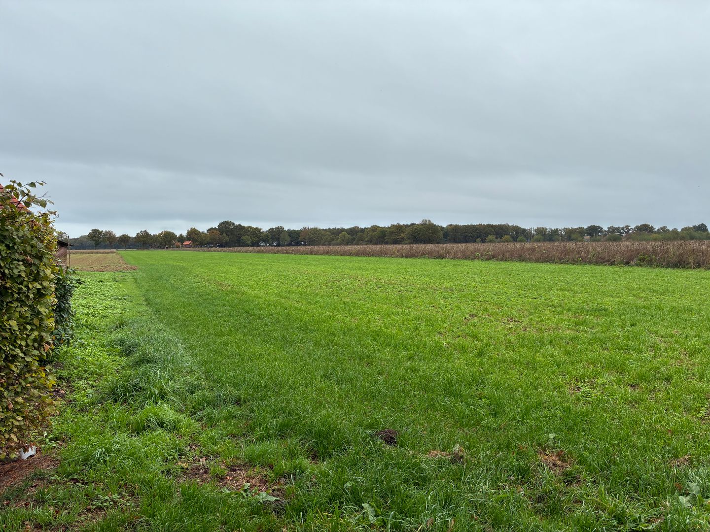 View photo 4 of Kendelweg