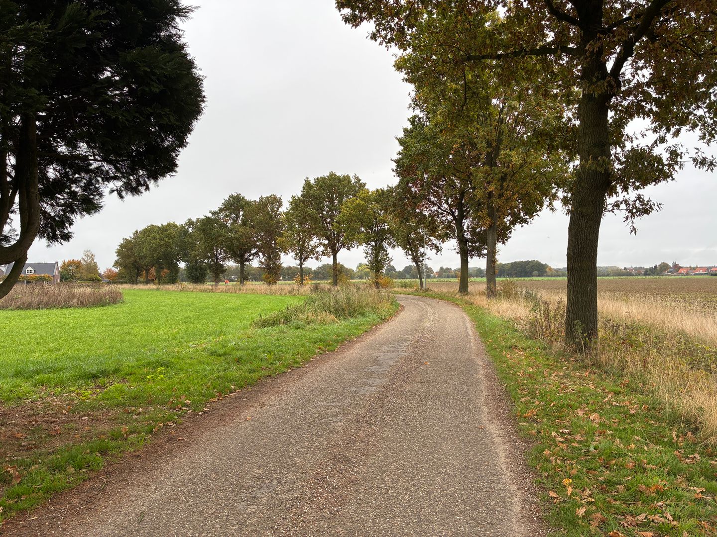 Kendelweg - Siebengewald - Afbeelding 7