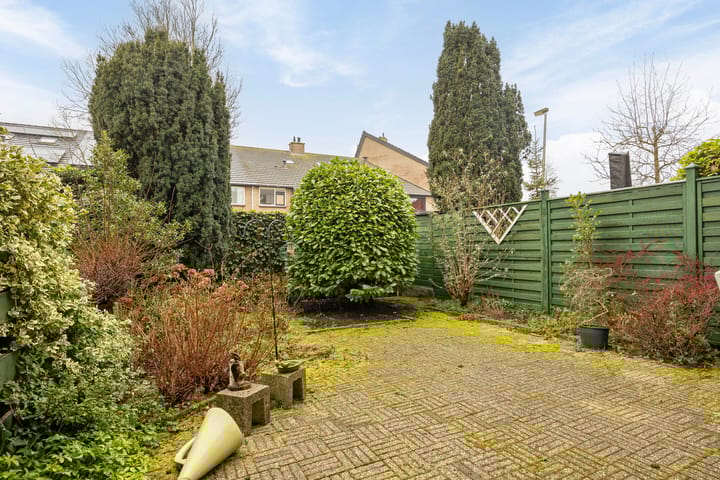 Foto 4 van Fluitekruidzoom 8