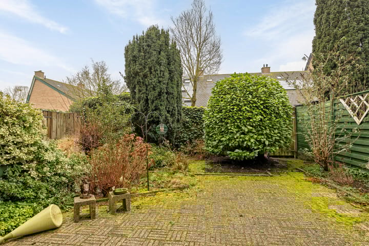 Foto 20 van Fluitekruidzoom 8