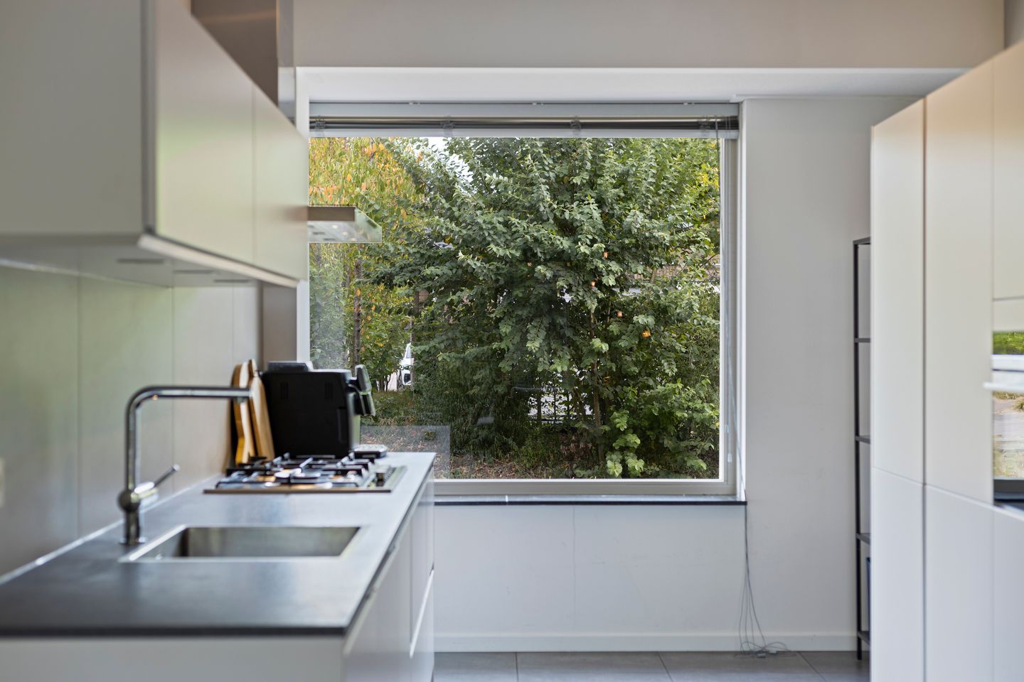 Foto 10 van Het Blazoen 44