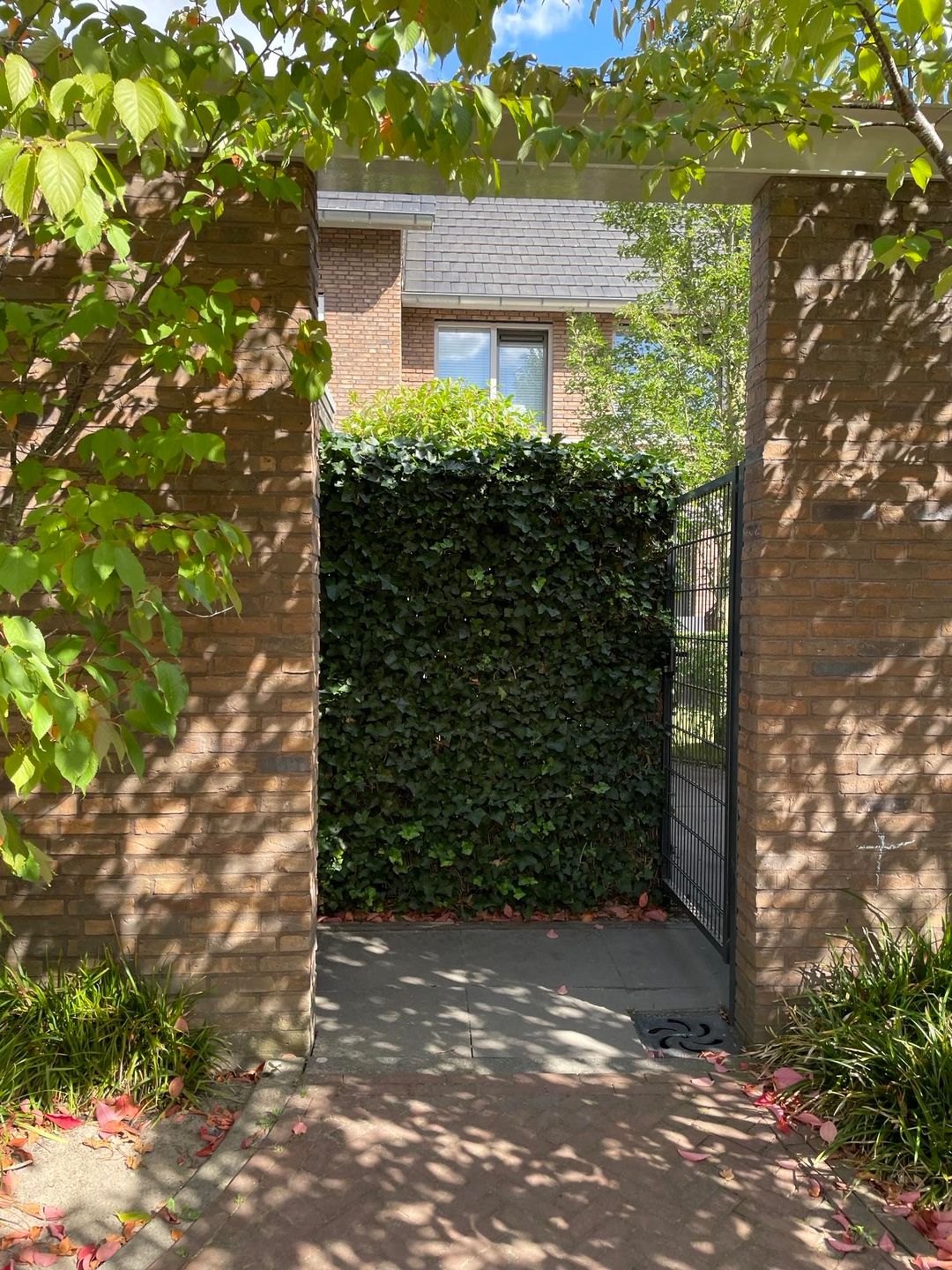 Foto 26 van Het Blazoen 44