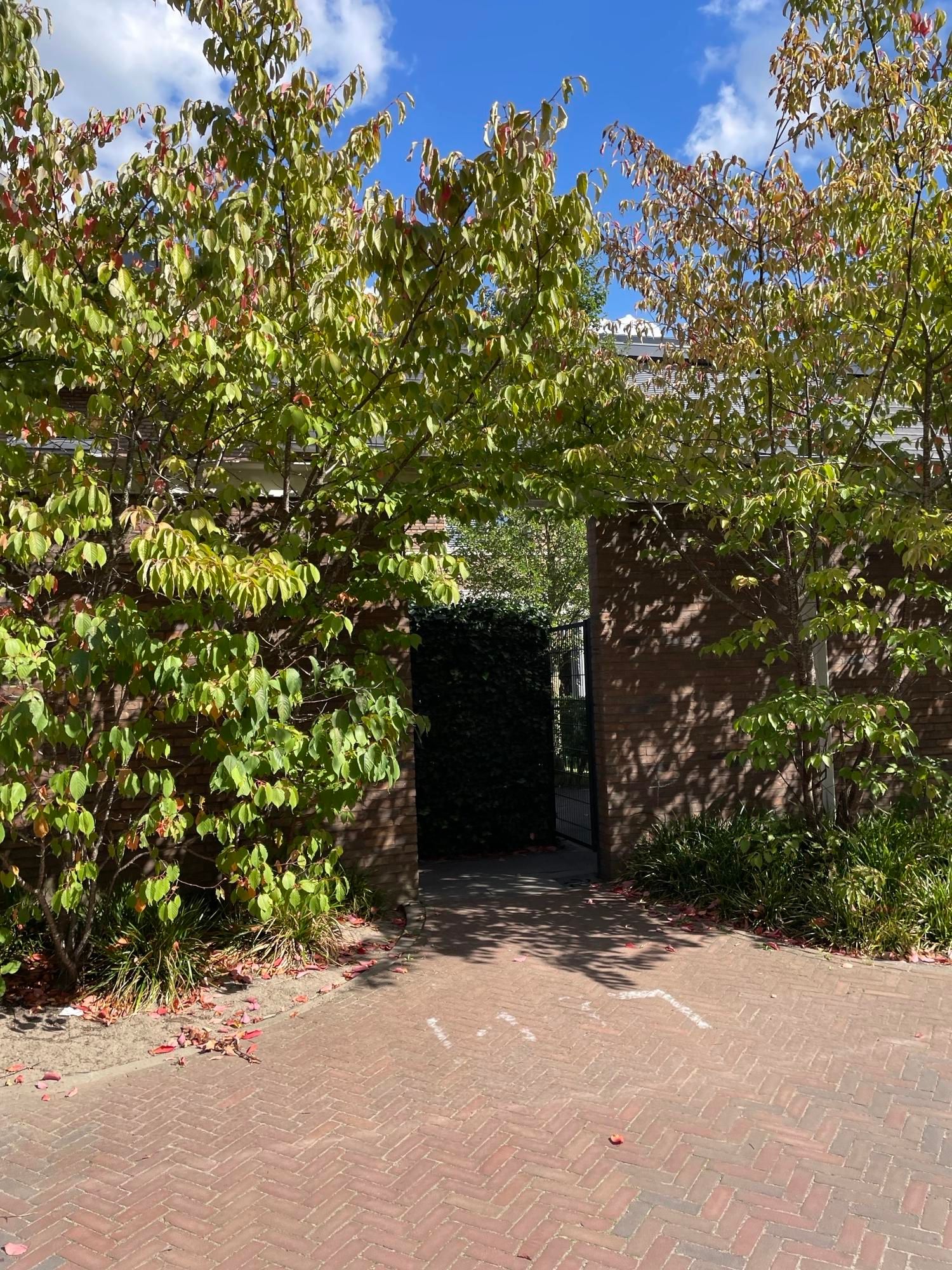 Foto 27 van Het Blazoen 44