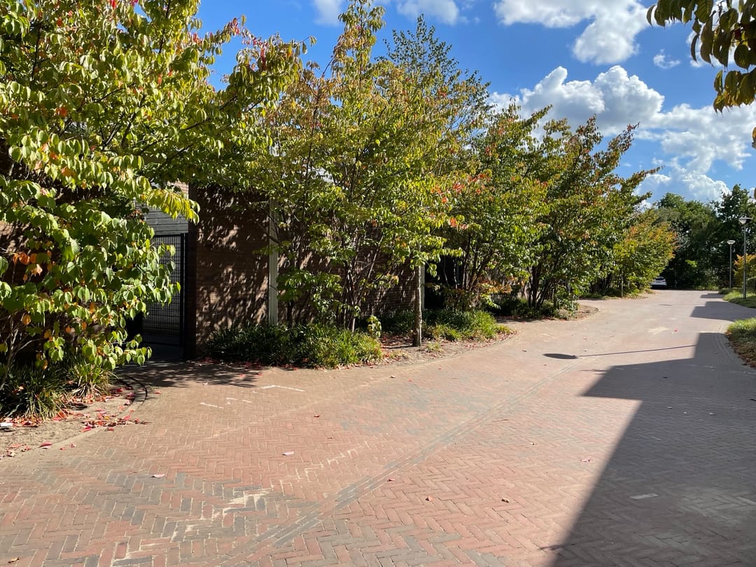 Foto 28 van Het Blazoen 44