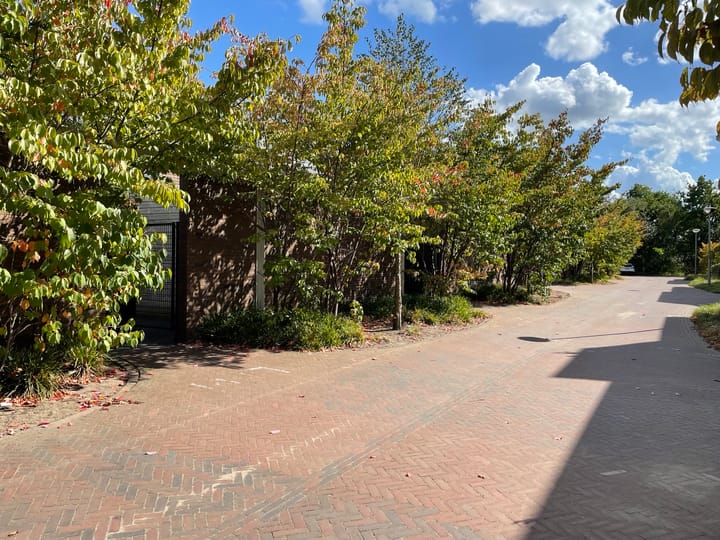 Foto 28 van Het Blazoen 44