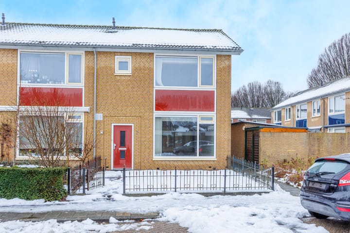 Foto 1 van Delphinus 2