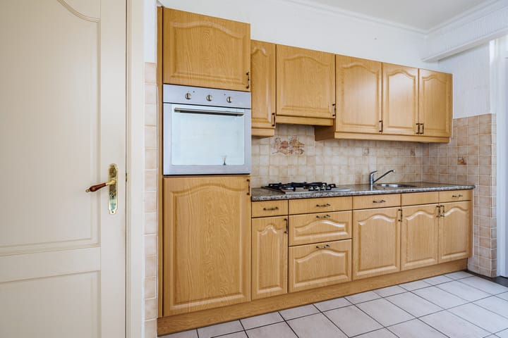 Foto 3 van Delphinus 2