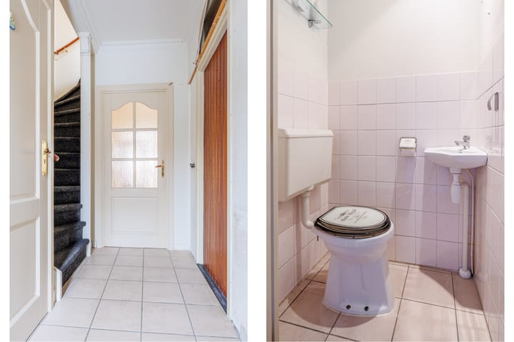 Foto 5 van Delphinus 2