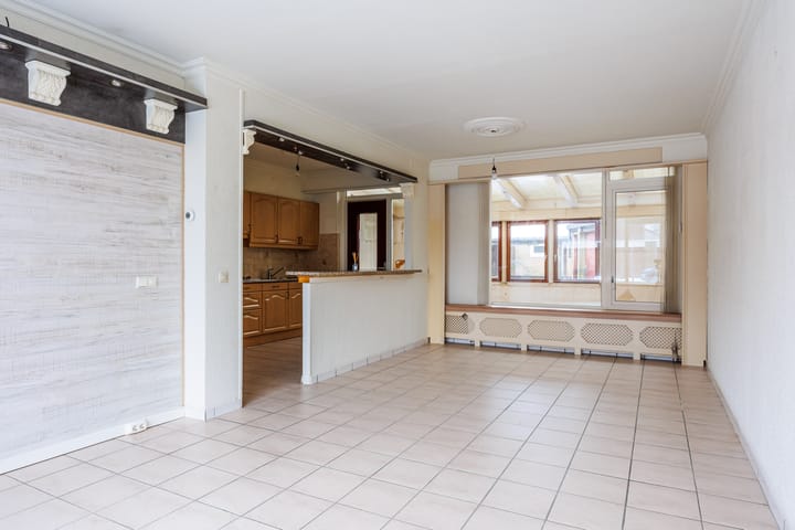 Foto 6 van Delphinus 2