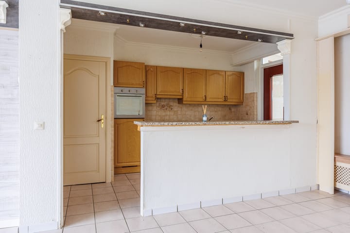 Foto 7 van Delphinus 2