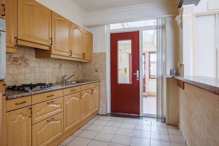 Foto 8 van Delphinus 2