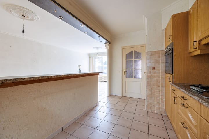 Foto 9 van Delphinus 2