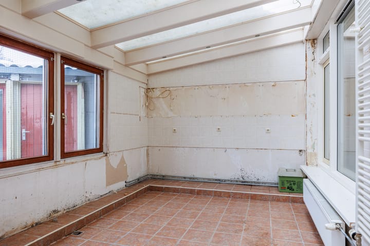 Foto 10 van Delphinus 2