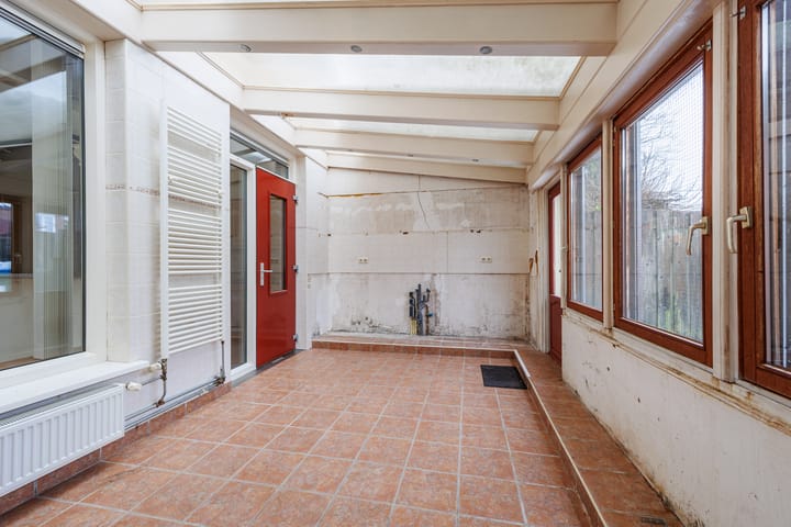 Foto 11 van Delphinus 2