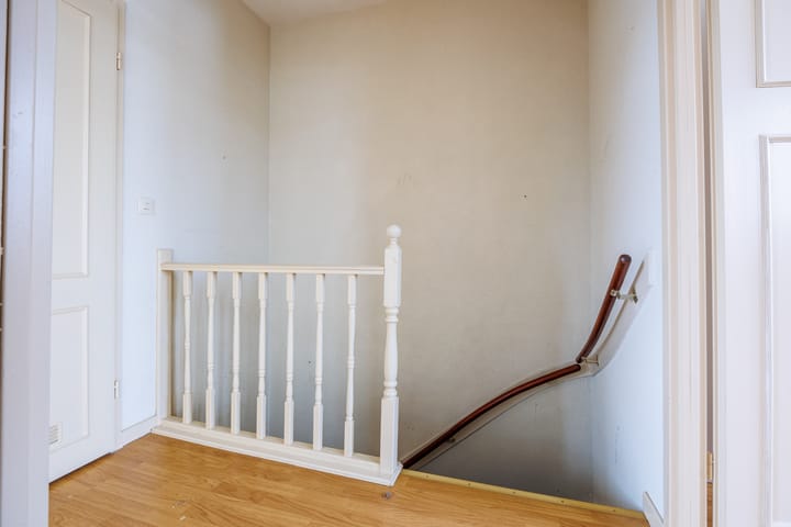 Foto 12 van Delphinus 2