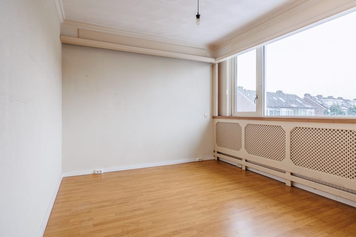 Foto 13 van Delphinus 2