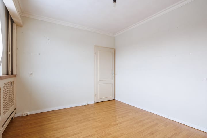 Foto 14 van Delphinus 2