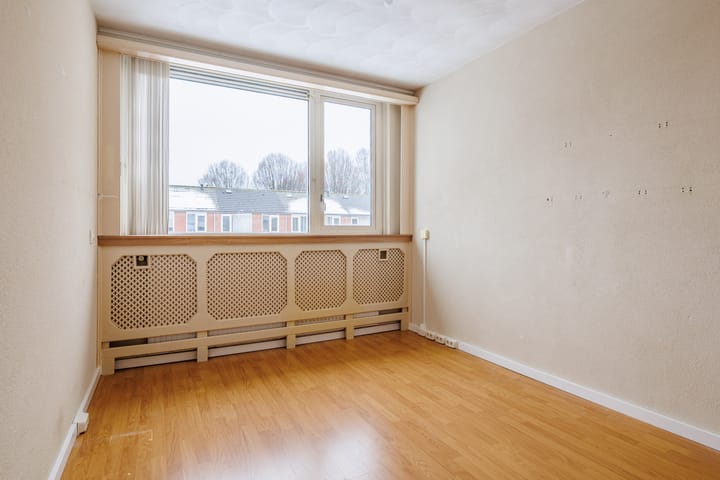 Foto 17 van Delphinus 2