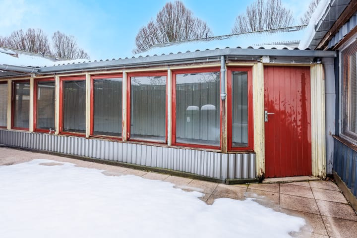 Foto 20 van Delphinus 2