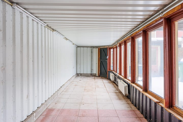 Foto 22 van Delphinus 2