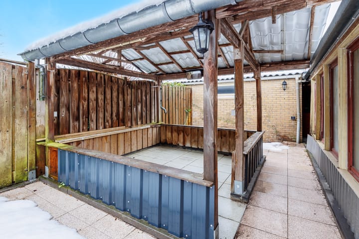 Foto 23 van Delphinus 2