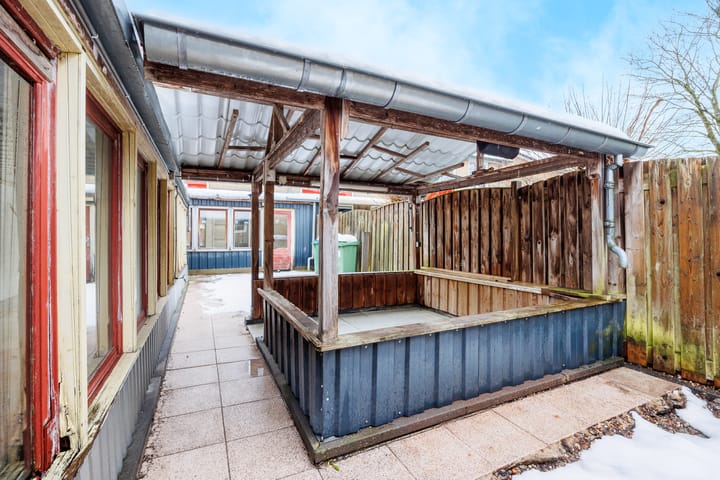 Foto 24 van Delphinus 2