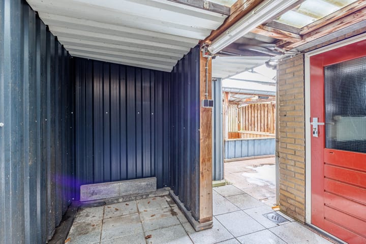 Foto 26 van Delphinus 2