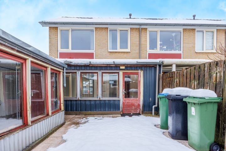 Foto 28 van Delphinus 2