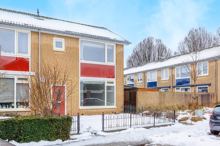 Foto 29 van Delphinus 2