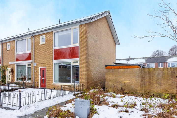 Foto 30 van Delphinus 2