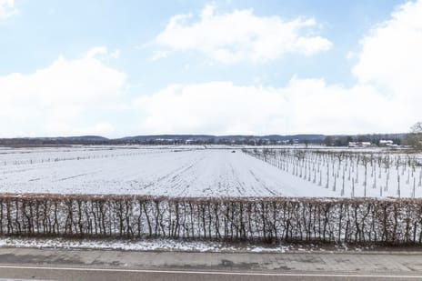 Catharinastraat 21-A secondary image