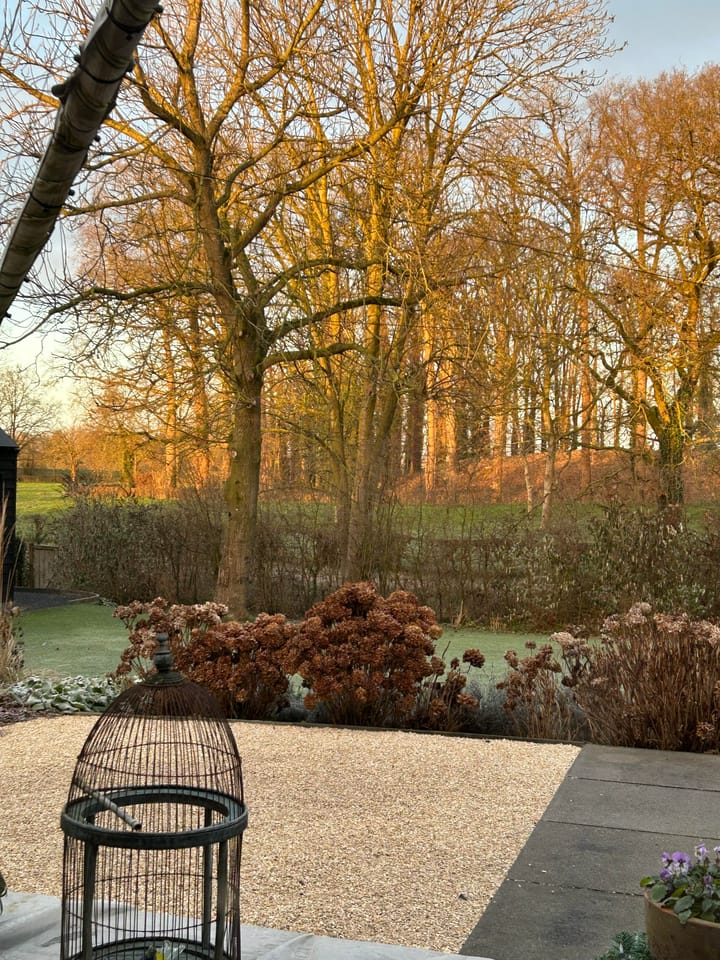 Foto 10 van Boterstraat 4