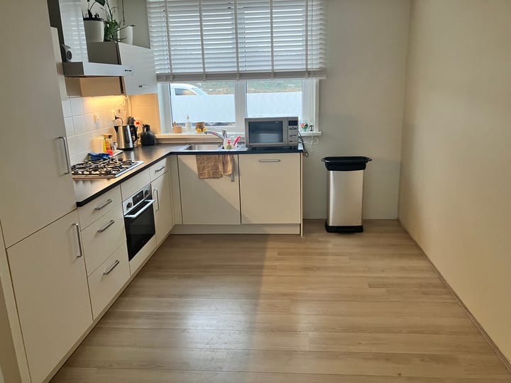 Foto 3 van Galjoen 07 13