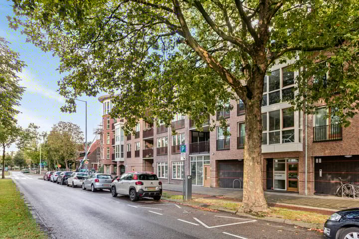 Foto 16 van Burgemeester Knappertlaan 14