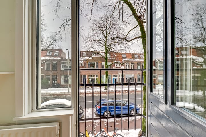 Foto 17 van Adriaen van Ostadelaan 121-BS