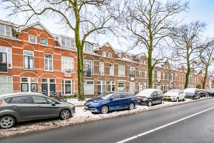 Foto 33 van Adriaen van Ostadelaan 121-BS