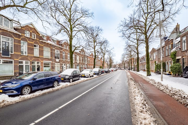 Foto 34 van Adriaen van Ostadelaan 121-BS