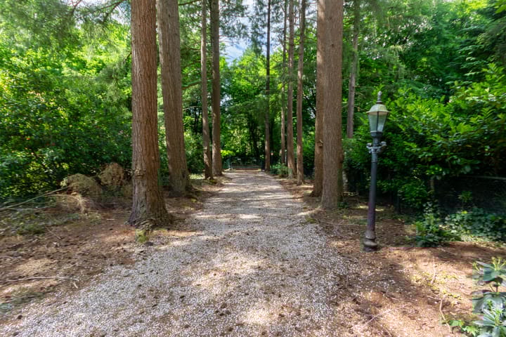 Foto 33 van Dellenweg 42