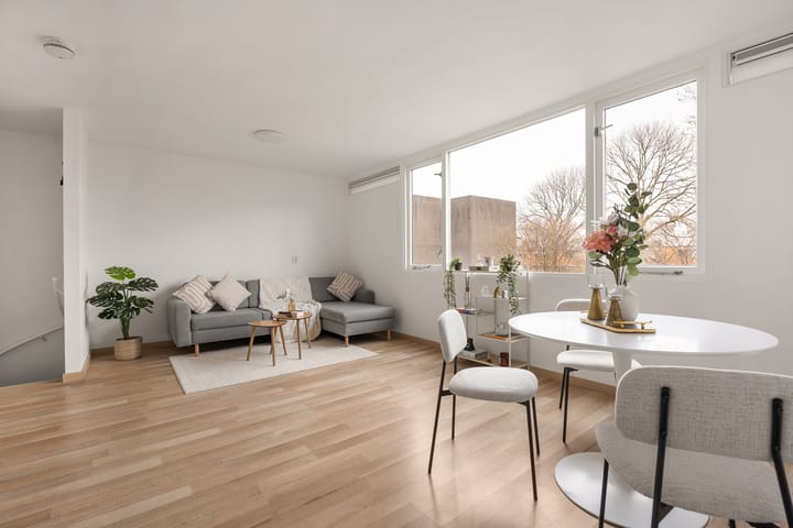 Kempenaar 11 51-B main image