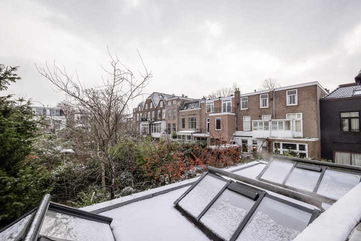 Foto 39 van Van Ostadestraat 3-RD