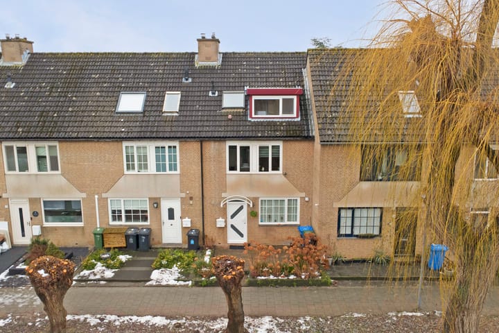 Foto 2 van Patrijs 7