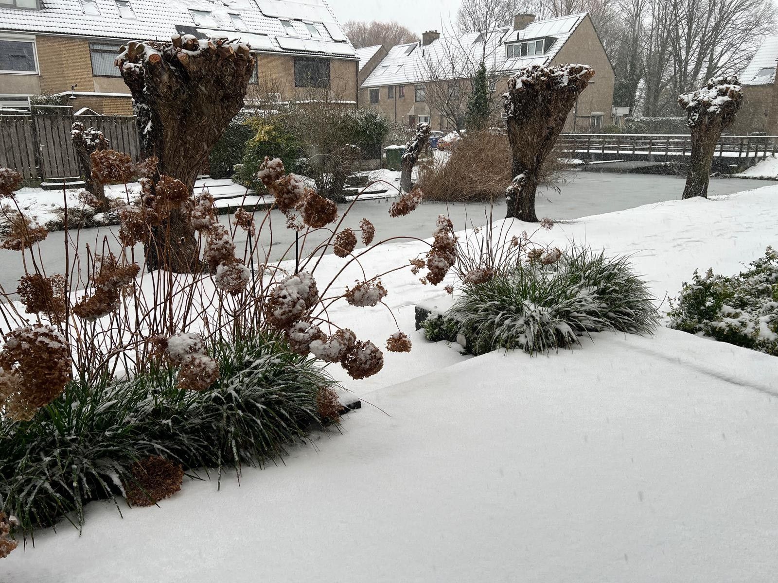 Foto 33 van Patrijs 7