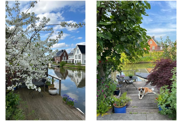 Foto 21 van Karekiet 55