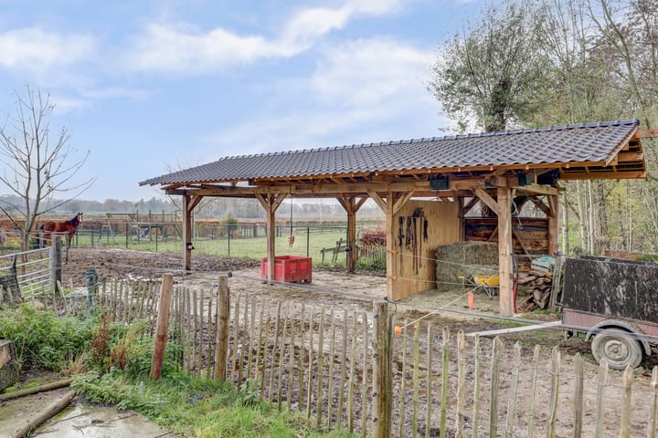 Photo 4 of Schandelo 10