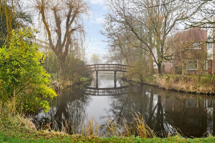 Foto 43 van Keizerskroon 213